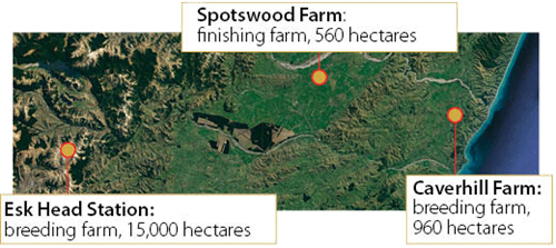 Spotswood Farm, Finishing 560 hectares, esk head: 15,000 hectares, caverhill farm: 960 hectares