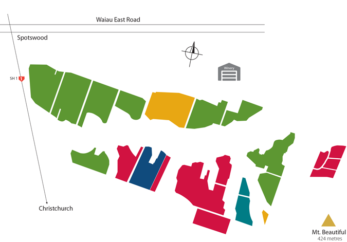 Map Overview of Vineyard